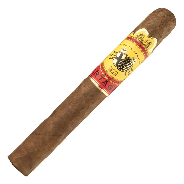 Tabachaze Partagas Toro Cigar 6 x 49