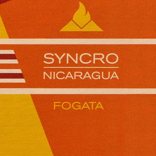 Tabachaze Avo Syncro Nicaragua Fogata Cigar Robusto 5 x 50 3